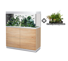 Oase HighLine 300 - Raumteiler Aquarium Set Eiche Oase HighLine 300 - Raumteiler Aquarium Set Eiche