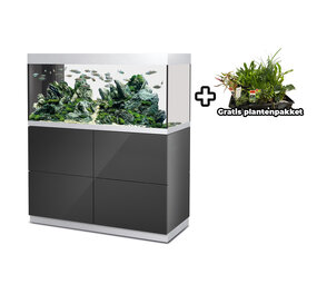Oase HighLine 300 - Raumteiler Aquarium Set Anthrazit Oase HighLine 300 - Raumteiler Aquarium Set Anthrazit