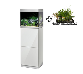 Oase HighLine Optiwhite 125 Set Weiß