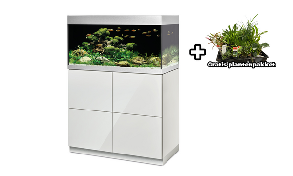 Oase HighLine Optiwhite 200 Set Weiß