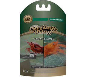 Dennerle Shrimp King Dadap Blätter Dennerle Shrimp King Dadap Blätter