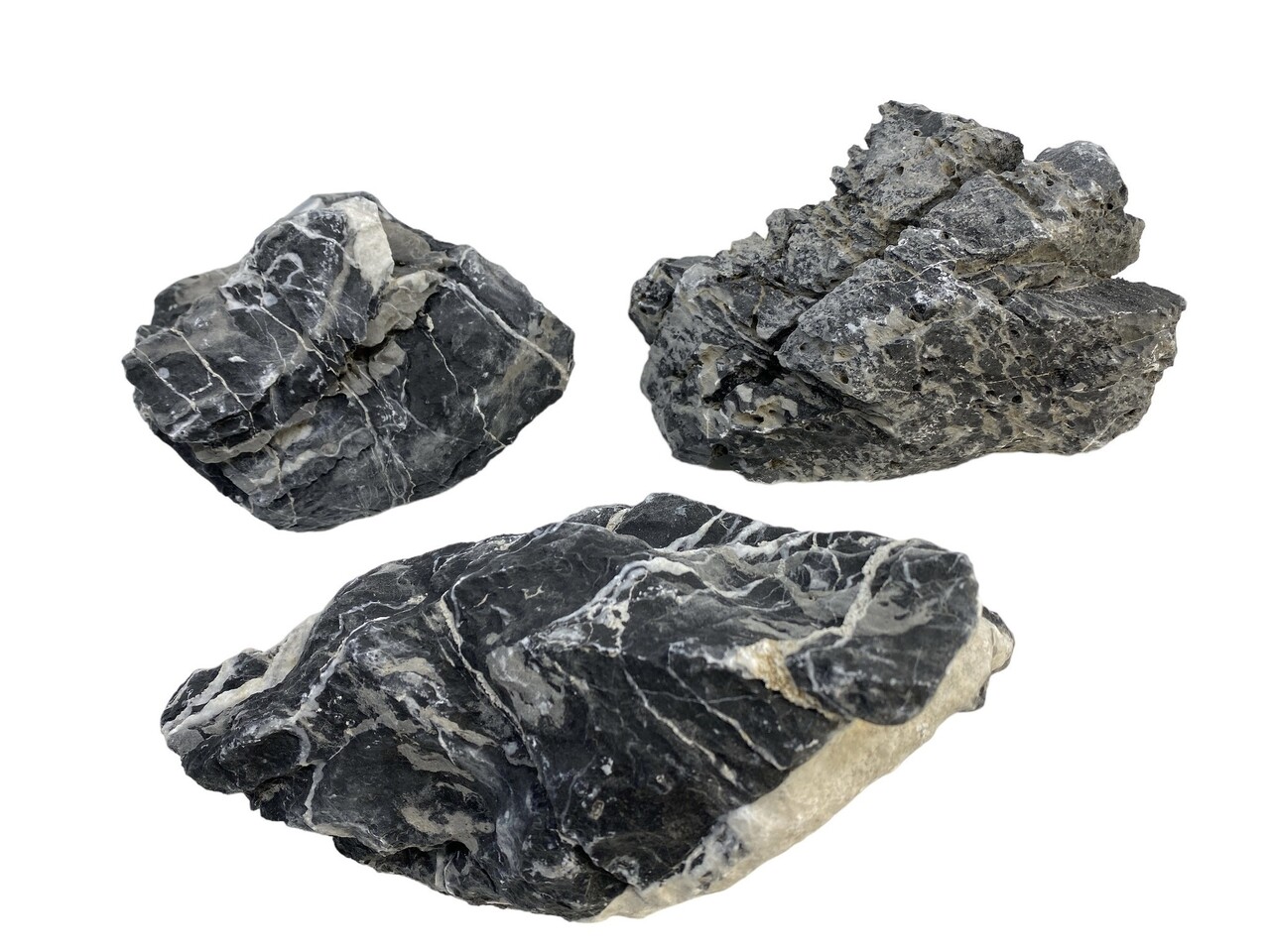 AquastoreXL Pflanzenpaket Beliebt