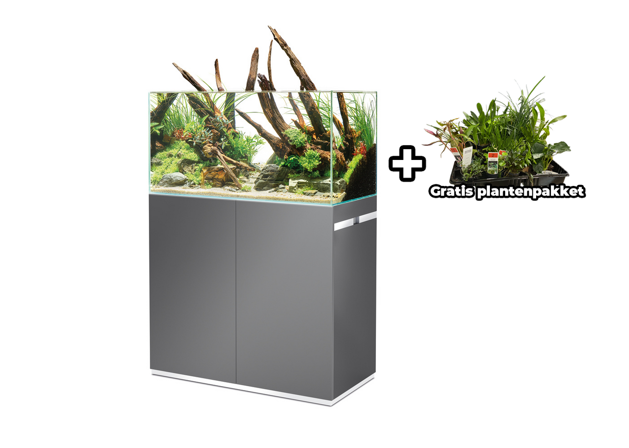 Oase ScaperLine 90 Set Grau