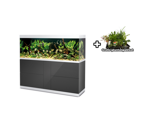 Oase HighLine 600 Optiwhite Set Anthrazit Oase HighLine 600 Optiwhite Set Anthrazit