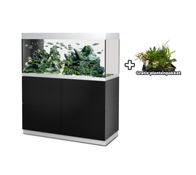 Oase HighLine 300 - Raumteiler Aquarium Komplettset Schwarz