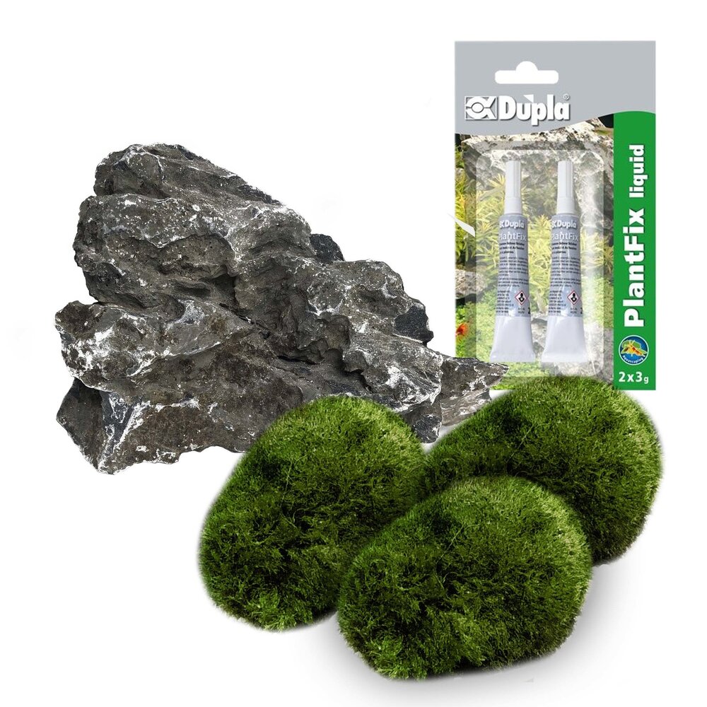 AquastoreXL DIY Dekorationsset Stein