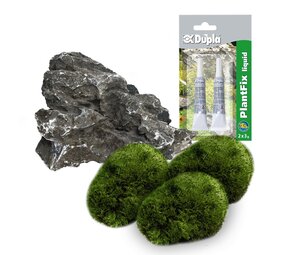 AquastoreXL DIY Dekorationsset Stein AquastoreXL DIY Dekorationsset Stein