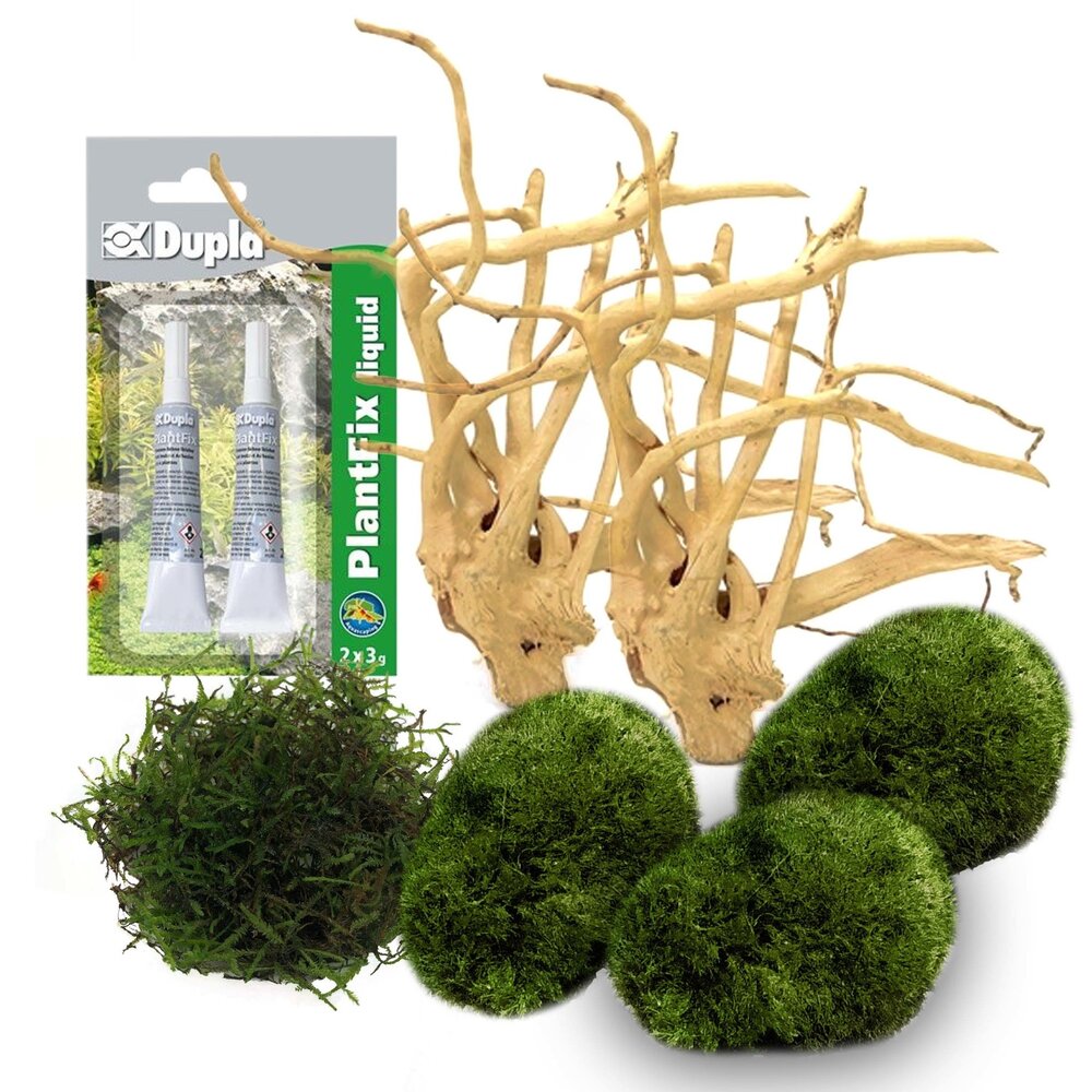 AquastoreXL DIY Dekorationsset Holz