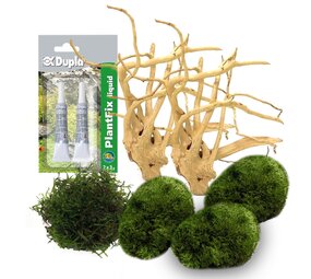 AquastoreXL DIY Dekorationsset Holz