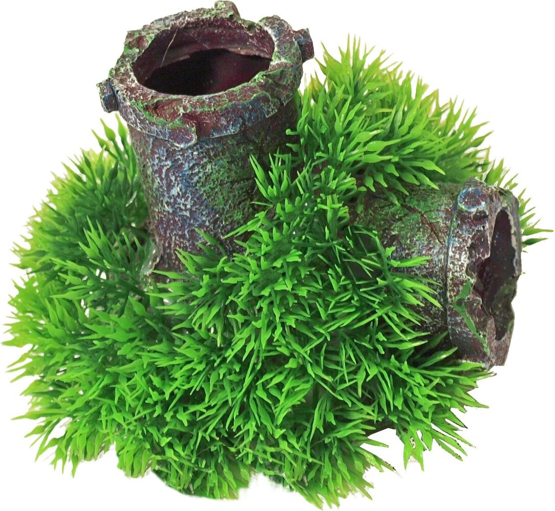 Gebr. de Boon Ornament Blase Green Moss Pflanze auf Versunkenem Rohr mit Ausströmer 11 cm