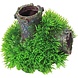 Gebr. de Boon Ornament Blase Green Moss Pflanze auf Versunkenem Rohr mit Ausströmer 11 cm