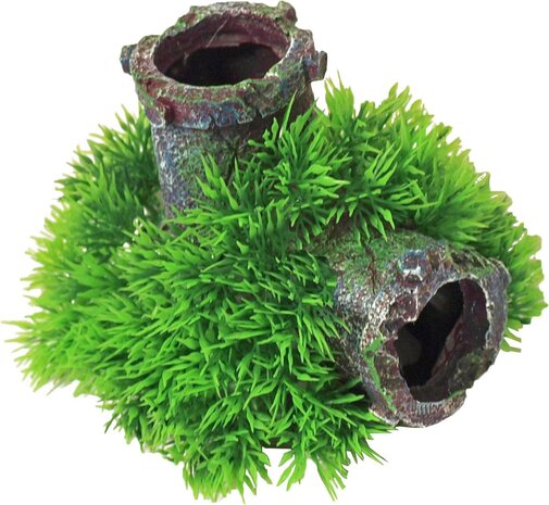 Gebr. de Boon Ornament Blase Green Moss Pflanze auf Versunkenem Rohr mit Ausströmer 11 cm