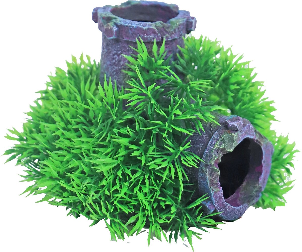 Gebr. de Boon Ornament Blase Green Moss Pflanze auf Versunkenem Rohr mit Ausströmer 11 cm