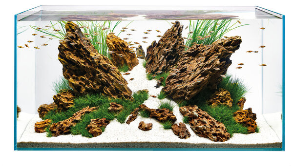 Oase ScaperLine 90 Aquarium