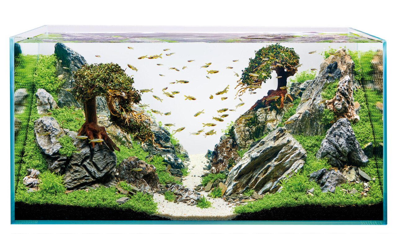 Oase ScaperLine 100 Aquarium