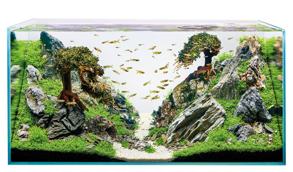 Oase ScaperLine 100 Aquarium
