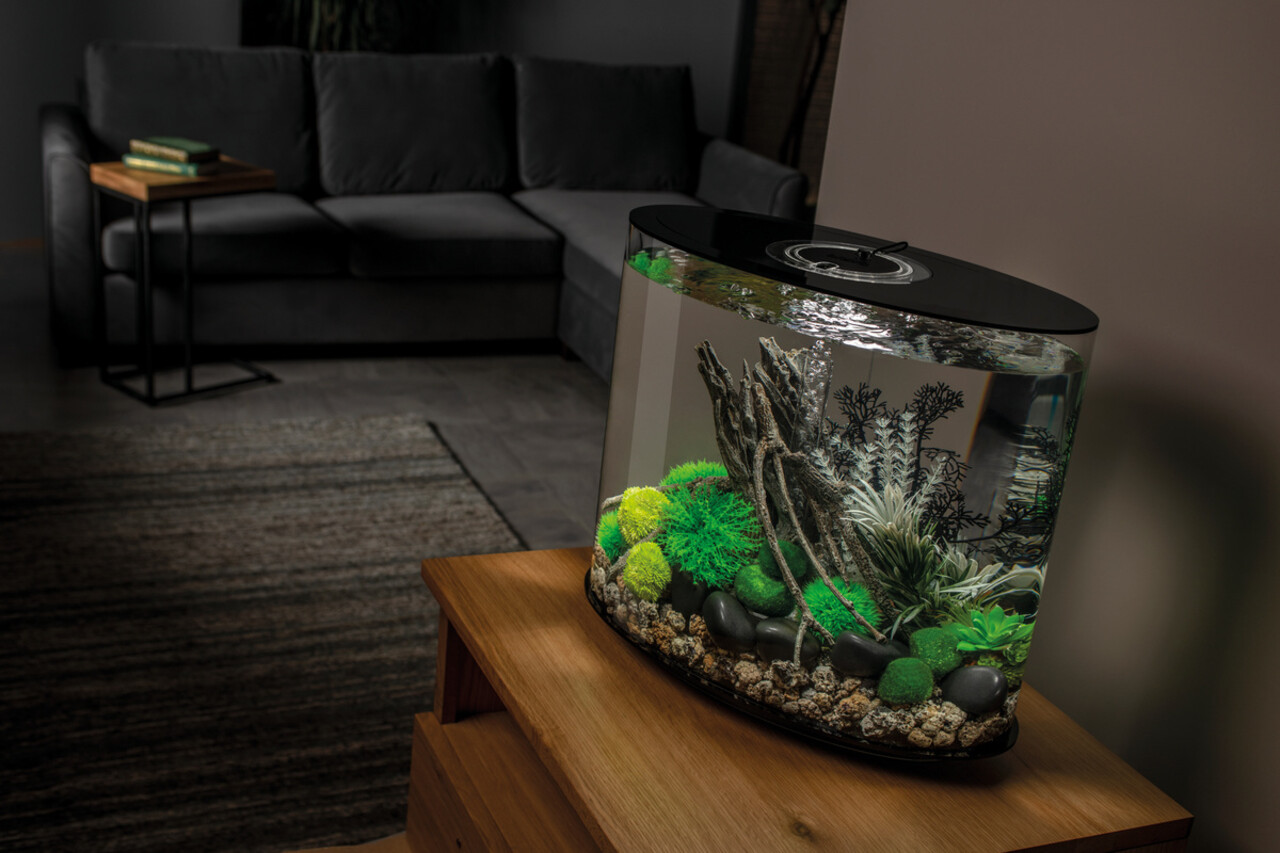 biOrb LOOP 30 MCR Schwarz