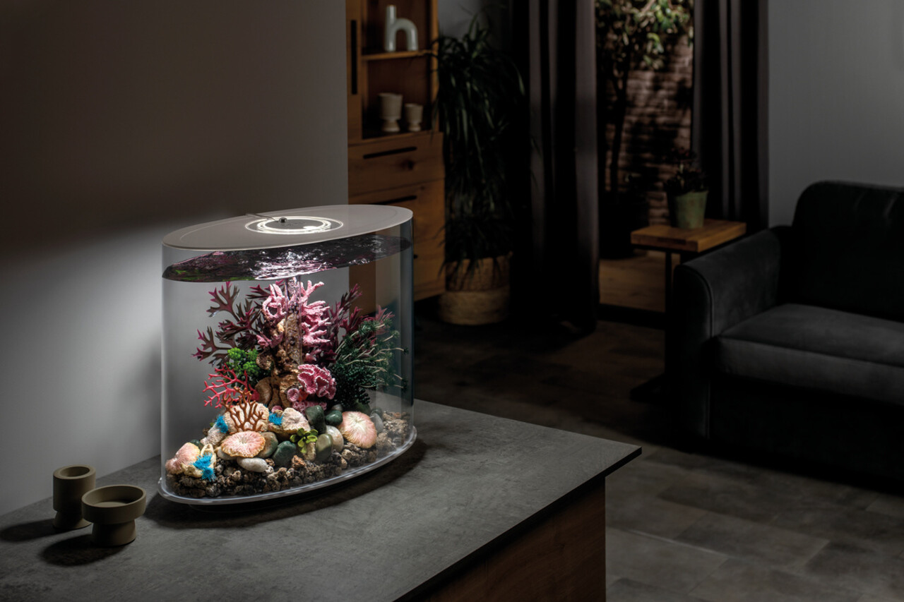 biOrb LOOP 30 MCR Weiß