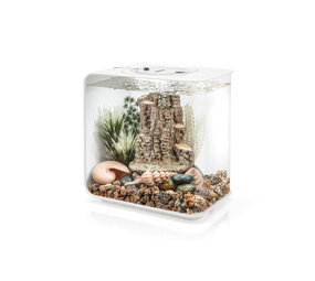 biOrb Forest Rhythm Dekor-Set