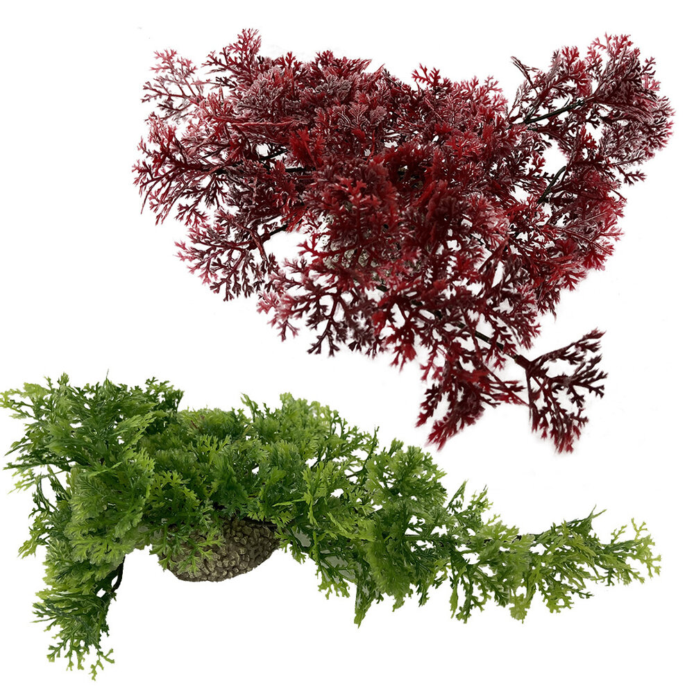 Aqua D'ella Hängendes Moos 5cm Grün und Rot