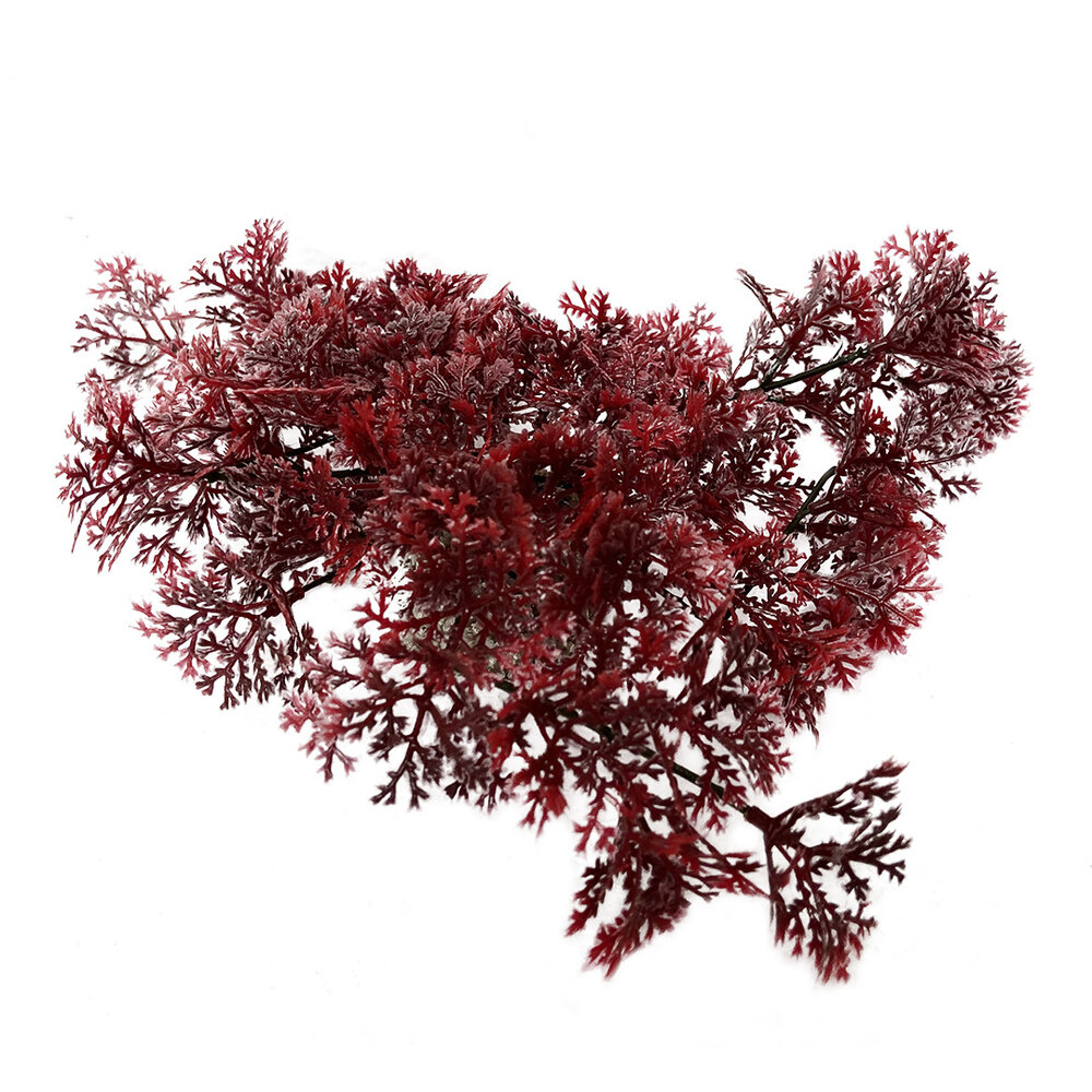 Aqua D'ella Hängendes Moos 5cm Grün und Rot