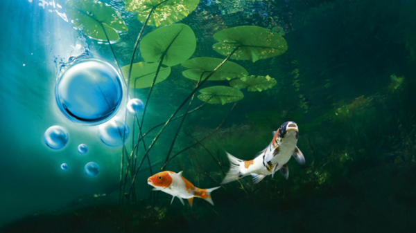 Oase AquaActiv DuoBoost 250ml 5 cm