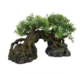 Aqua D'ella Jungle Baum