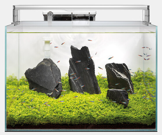 Superfish Scaper 45 LED‑Beleuchtung