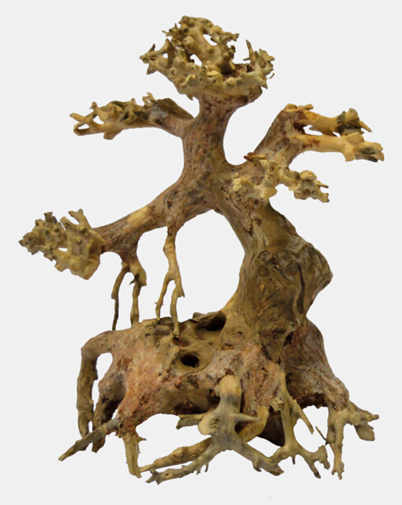 Superfish Bonsai Treibholz XS