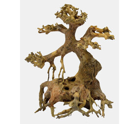 Superfish Bonsai Treibholz XS