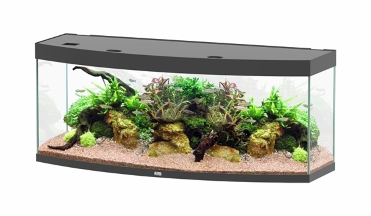 Aquatlantis Sublime Horizon 150 Aquarium