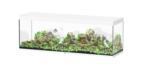 Aquatlantis Sublime 200x60 Aquarium
