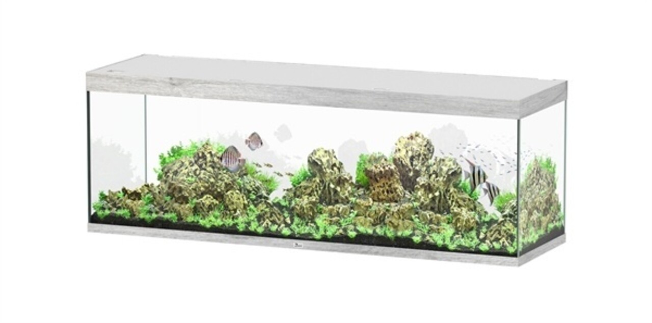 Aquatlantis Sublime 200x60 Aquarium