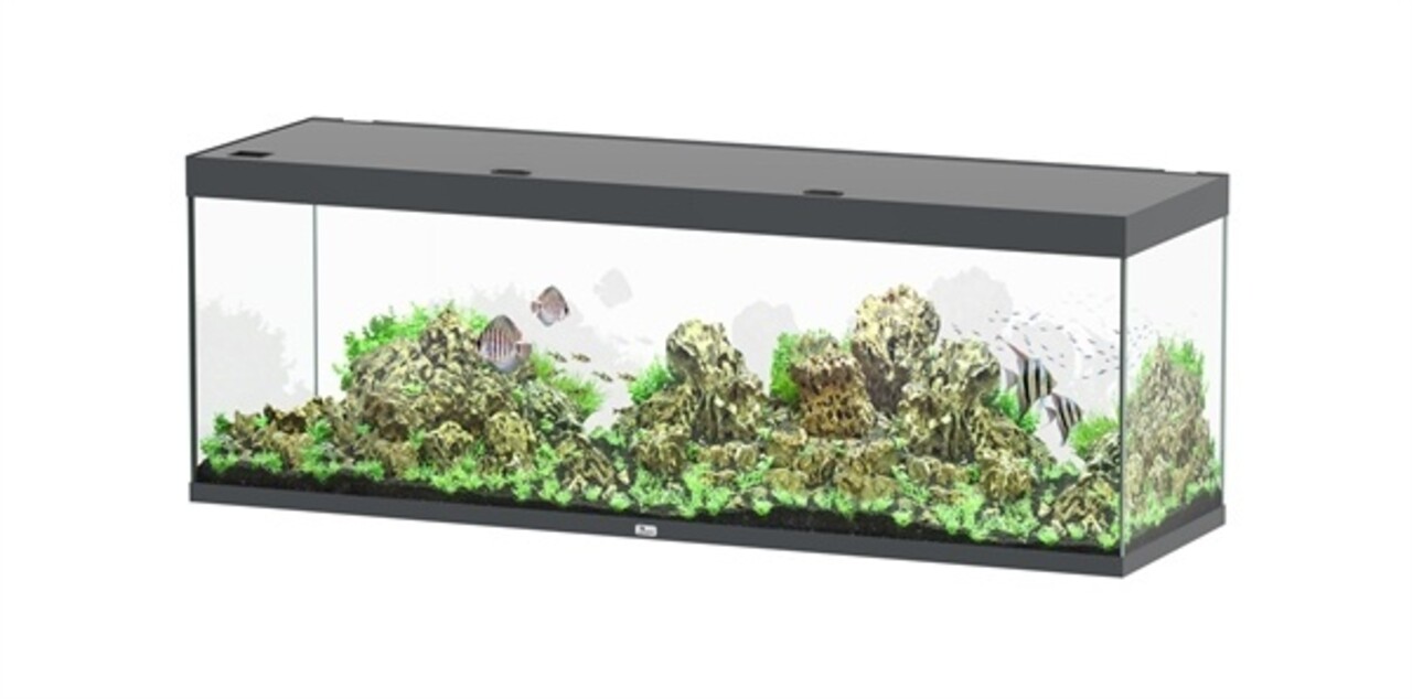 Aquatlantis Sublime 200x60 Aquarium
