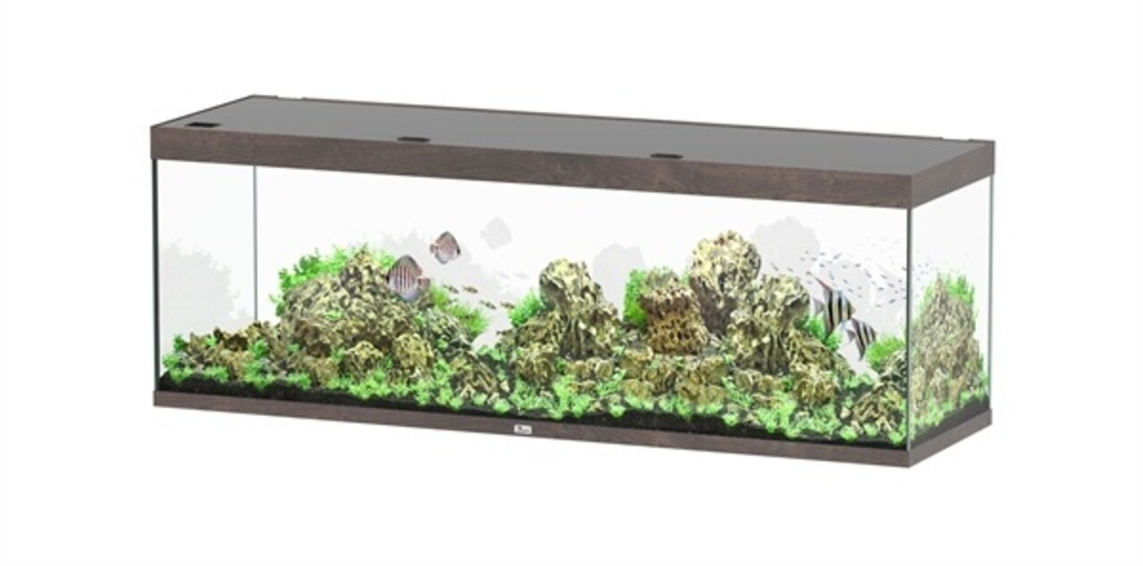 Aquatlantis Sublime 200x60 Aquarium