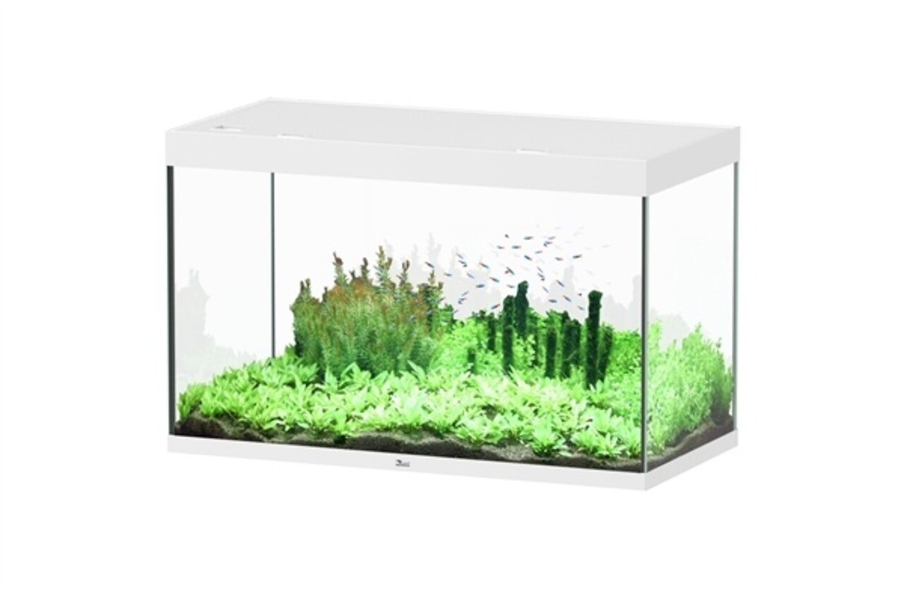Aquatlantis Sublime 120x60 Aquarium