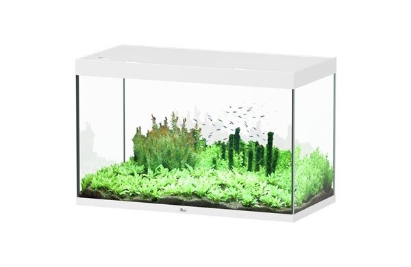 Aquatlantis Sublime 120x60 Aquarium