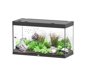 Aquatlantis Sublime 120x50 Aquarium