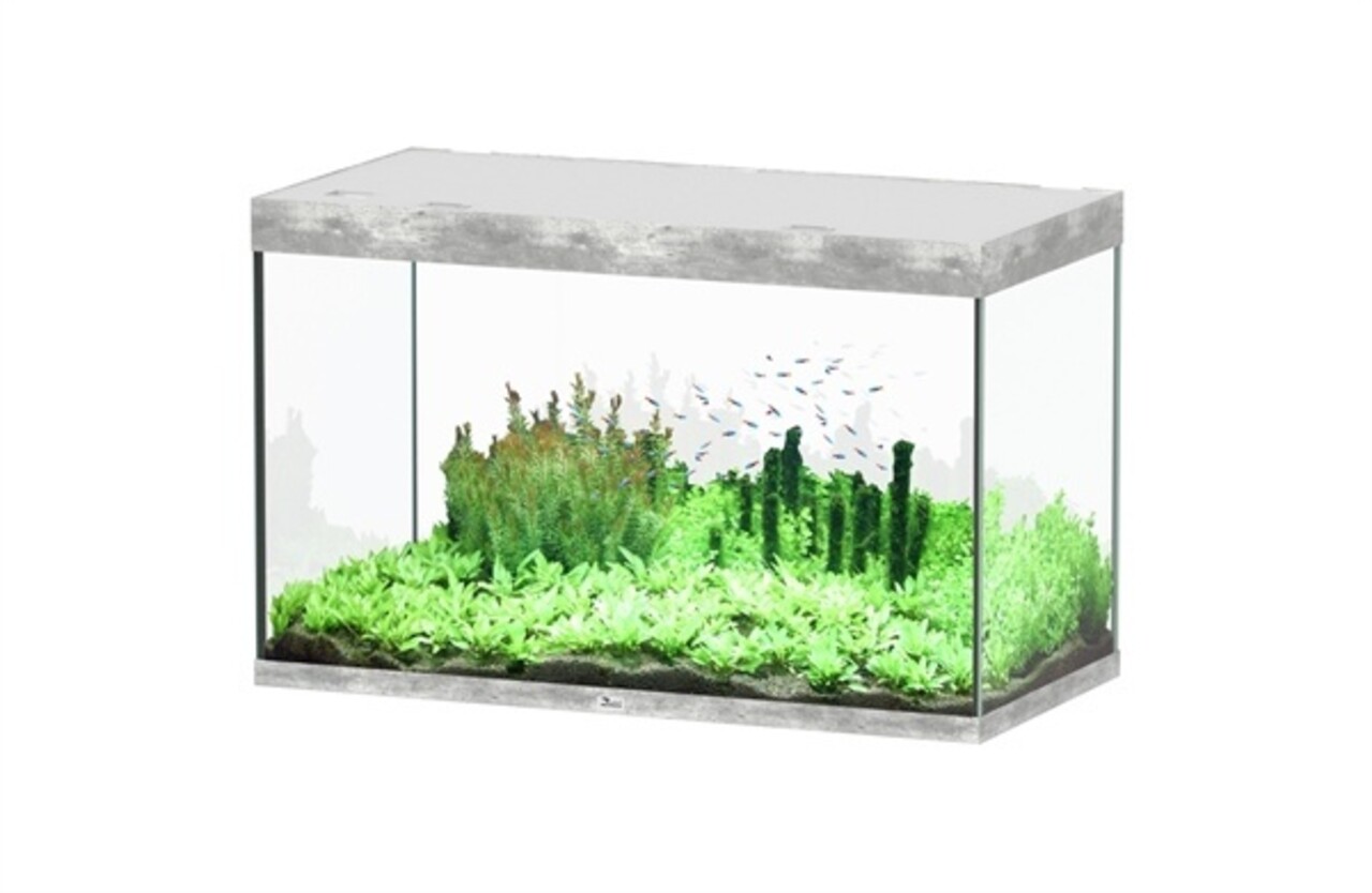 Aquatlantis Sublime 120x60 Aquarium