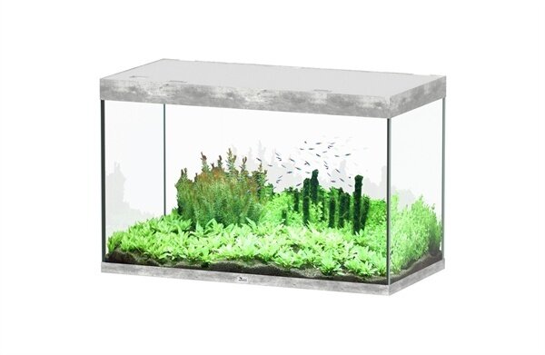 Aquatlantis Sublime 120x60 Aquarium