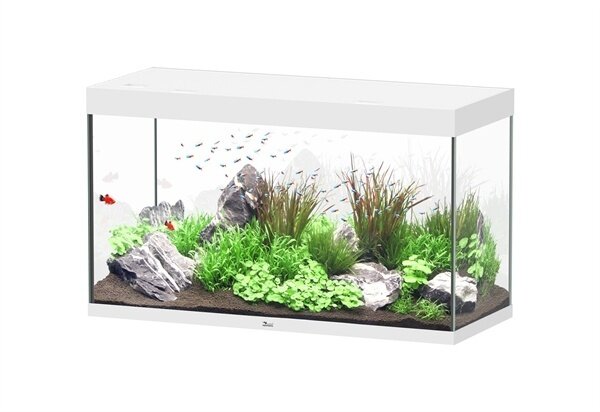 Aquatlantis Sublime 120x50 Aquarium