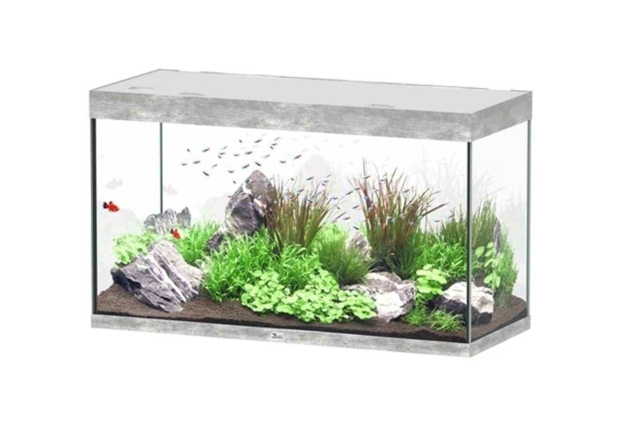 Aquatlantis Sublime 120x50 Aquarium