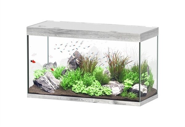 Aquatlantis Sublime 120x50 Aquarium