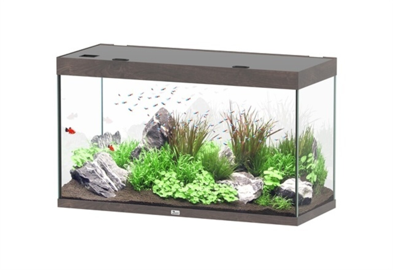 Aquatlantis Sublime 120x50 Aquarium