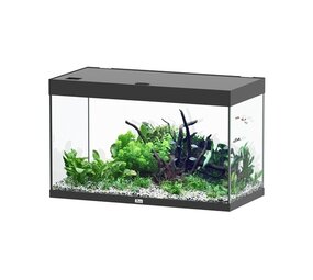 Aquatlantis Sublime 100x50 Aquarium