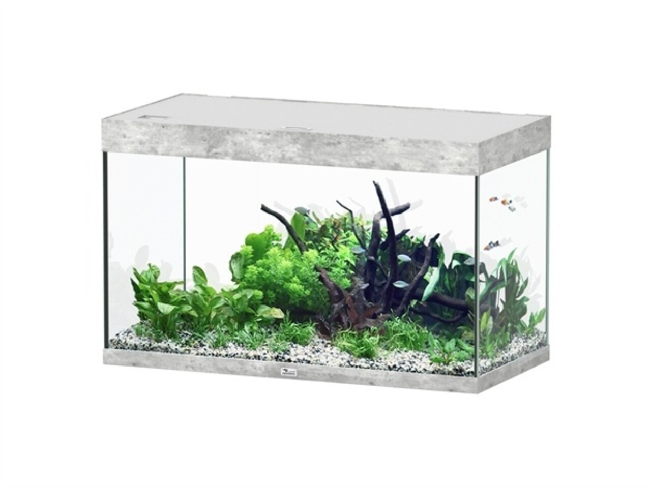 Aquatlantis Sublime 100x50 Aquarium