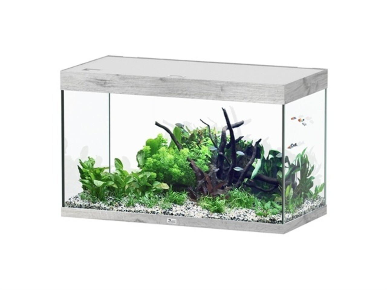 Aquatlantis Sublime 100x50 Aquarium