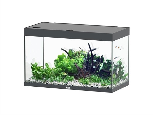 Aquatlantis Sublime 100x50 Aquarium