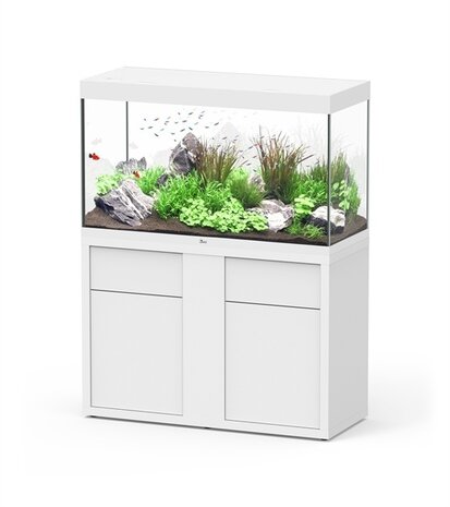Aquatlantis Sublime 120x50 Set Aquatlantis Sublime 120x50 Set