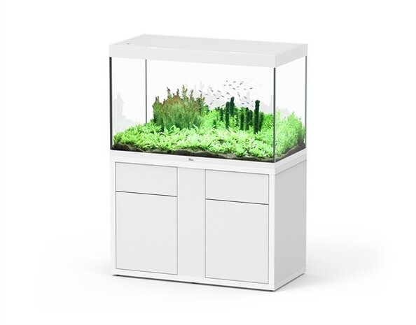 Aquatlantis Sublime 120x60 Set Aquatlantis Sublime 120x60 Set